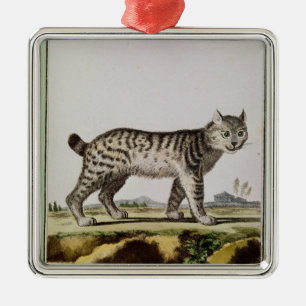 Kanadischer Luchs Ornament Aus Metall