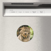 Kanadischer Lynx 4200e Magnet (In Situ (Geschirrspüler))