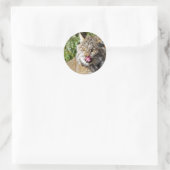 Kanadischer Lynx - alles in Runder Aufkleber (Tasche)