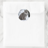 Kanadischer Lynx im Schnee Runder Aufkleber (Tasche)