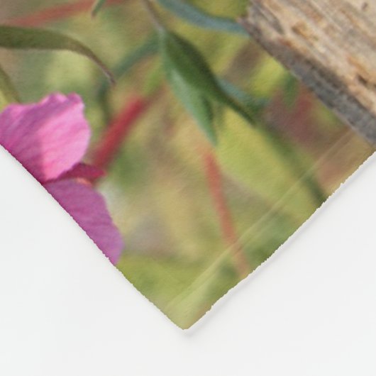 Kanadischer Lynx Kitten, Alaska Fleecedecke (Ecke)