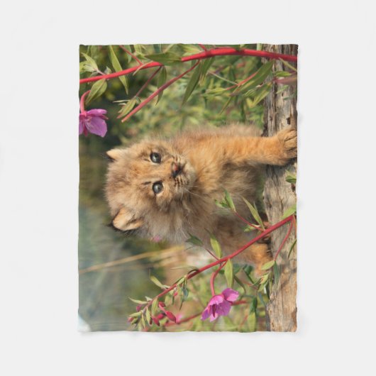 Kanadischer Lynx Kitten, Alaska Fleecedecke (Vorderseite)