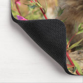 Kanadischer Lynx Kitten, Alaska Mousepad (Ecke)