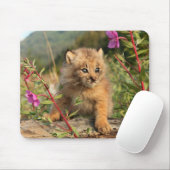 Kanadischer Lynx Kitten, Alaska Mousepad (Mit Mouse)