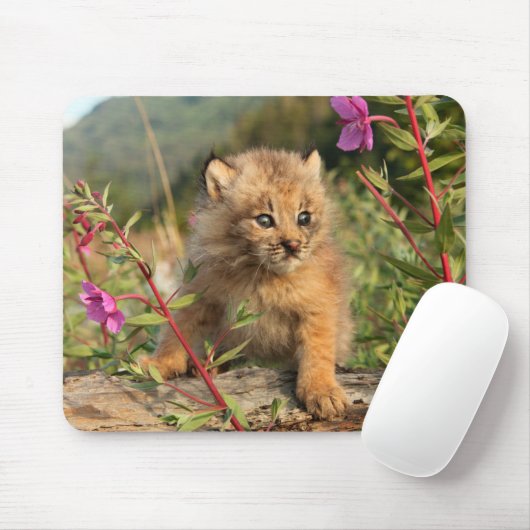 Kanadischer Lynx Kitten, Alaska Mousepad (Mit Mouse)