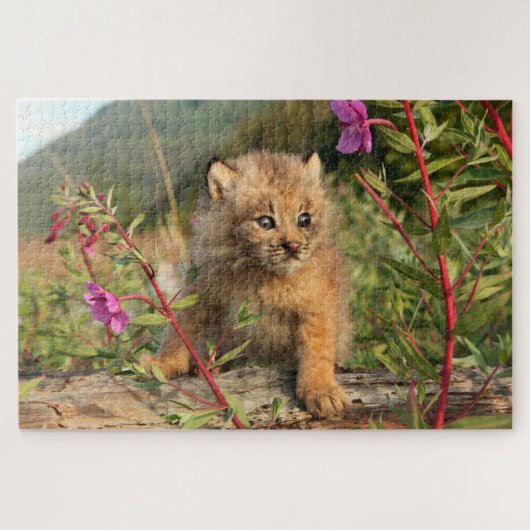Kanadischer Lynx Kitten, Alaska Puzzle (Horizontal)