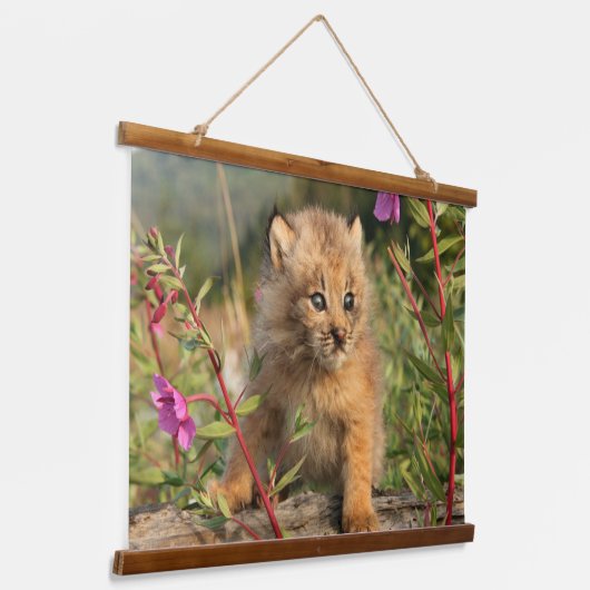 Kanadischer Lynx Kitten, Alaska Wandteppich Mit Holzrahmen (Gewinkelt)