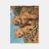 Kanadischer Lynx Kittens, Alaska Fleecedecke (Vorderseite)