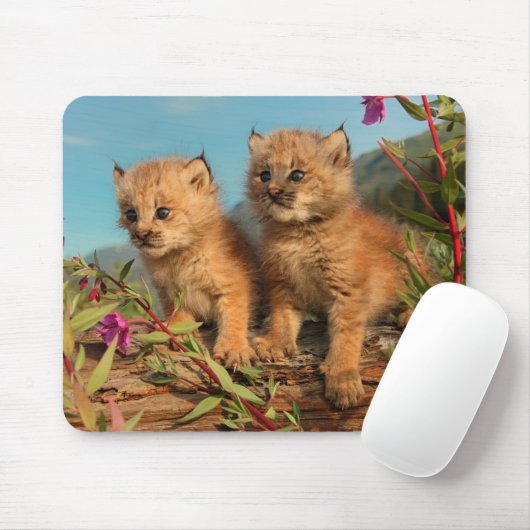 Kanadischer Lynx Kittens, Alaska Mousepad (Mit Mouse)