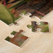 Kanadischer Lynx Kittens, Alaska Puzzle (Seite)