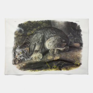 Kanadischer Lynx (Lynx Canadensis) (Kanadischer Ly Geschirrtuch