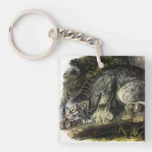 Kanadischer Lynx (Lynx Canadensis) (Kanadischer Ly Schlüsselanhänger