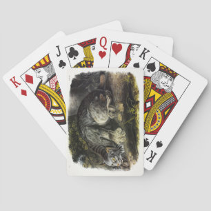 Kanadischer Lynx (Lynx Canadensis) (Kanadischer Ly Spielkarten