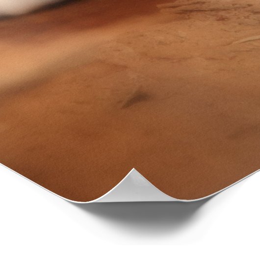 Kanadischer Lynx Poster (Ecke)