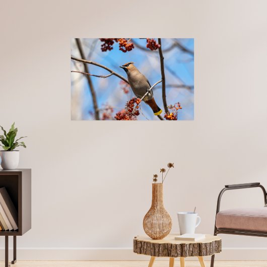 Kanadischer Vogel, Brown Bohemisch Waxwing Poster (Wohnzimmer 3)