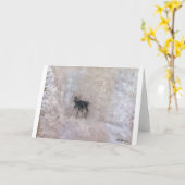 KANADISCHER WINTER, NORDalberta, ELCHE IM SCHNEE, Karte (Gelbe Blume)