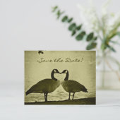 Kanadisches Gans-Foto Ankündigungspostkarte (Stehend Vorderseite)