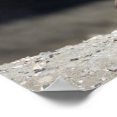 Kanadisches Gänseposter Poster (Ecke)