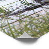 Kanadisches Gänseposter Poster (Ecke)