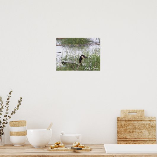 Kanadisches Gänseposter Poster (Küche)