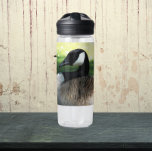 Kanadisches Goose Wildlife Foto Trinkflasche<br><div class="desc">Für Tier- und Naturliebhaber! Bleibe mit dieser durchsichtigen Plastikflasche,  die das Foto einer ruhenden kanadischen Gans zeigt,  wo auch immer du hingehst. Wählen Sie die Größe und Farbe der Wasserflasche aus. HINWEIS: Das Bild wurde nicht für Kid's Stil optimiert.</div>