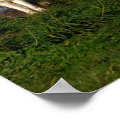 kanadisches Holzwolf-Poster/Print Poster (Ecke)