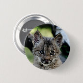 Kanadisches Luchs-Kätzchen Button (Vorne & Hinten)