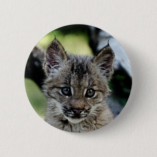 Kanadisches Luchs-Kätzchen Button