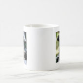 Kanadisches Luchs-Kätzchen Kaffeetasse (Mittel)