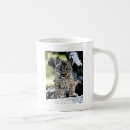 Kanadisches Luchs-Kätzchen Kaffeetasse (Rechts)