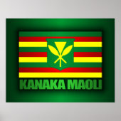 Kanaka Maoli Flag Poster (Vorne)