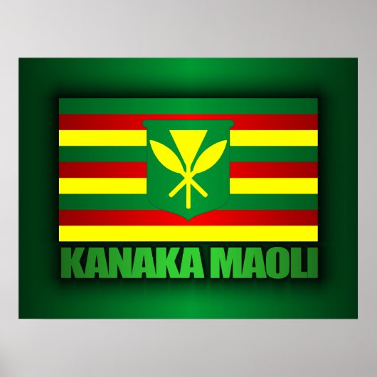 Kanaka Maoli Flag Poster (Vorne)