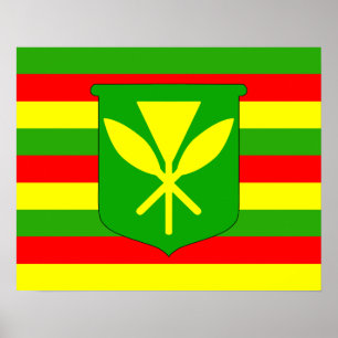 Kanaka Maoli Flag Poster