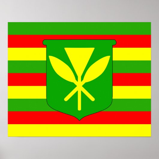 Kanaka Maoli Flag Poster (Vorne)
