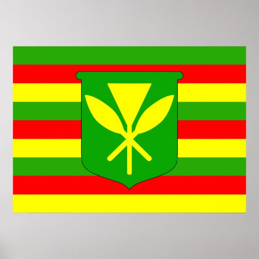 Kanaka Maoli Flag Poster (Vorne)