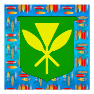 Kanaka Maoli Surfboards Poster