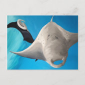 Kanaka Postkarte (Vorderseite)