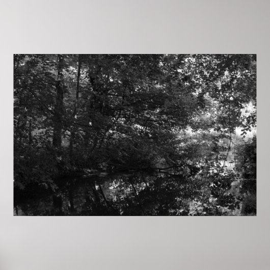 Kanal, Bute Park, Cardiff Poster (Vorne)