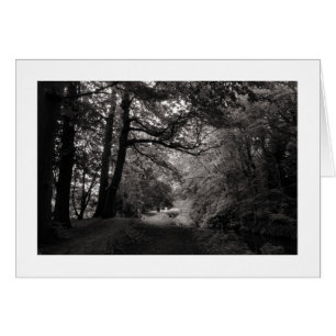 Kanal, Bute Park, Cardiff, Wales (grenzt)