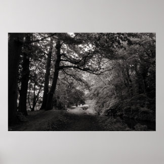 Kanal, Bute Park, Cardiff, Wales Poster