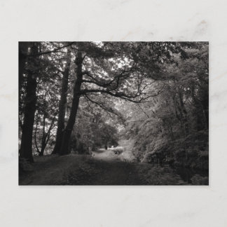 Kanal, Bute Park, Cardiff, Wales Postkarte
