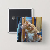 KANAL BUTTON (Vorne & Hinten)