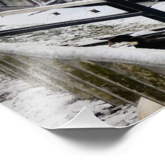 KANAL FOTODRUCK (Ecke)