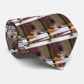 KANAL KRAWATTE (Gerollt)