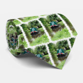 KANAL KRAWATTE (Gerollt)