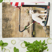 KANAL KÜCHENTUCH (Gefaltet)