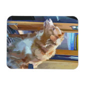 KANAL MAGNET (Horizontal)