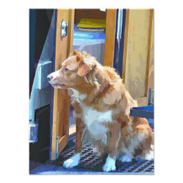 KANALBOOTE FOTODRUCK