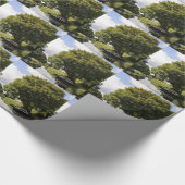 Kanalboote Geschenkpapier (Ecke)