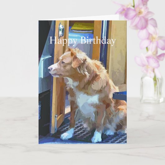 KANALBOOTE KARTE (Orchidee)